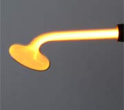 Mushroom NEON